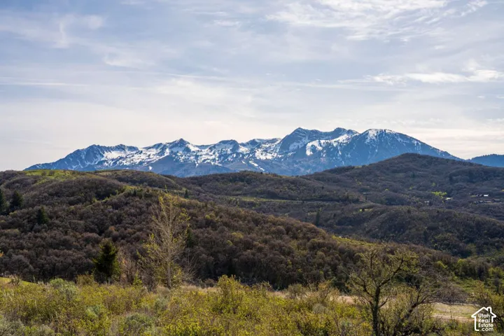 Expansive mountain backdrop featuring snow-capped peaks and rolling hills covered in mature native vegetation