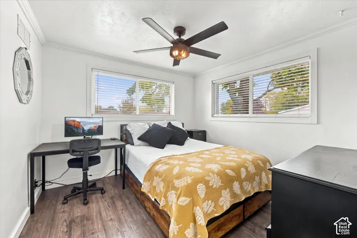 Room featuring wood-finish flooring, dual windows with horizontal blinds, and a multi-blade ceiling fan with integrated lighting
