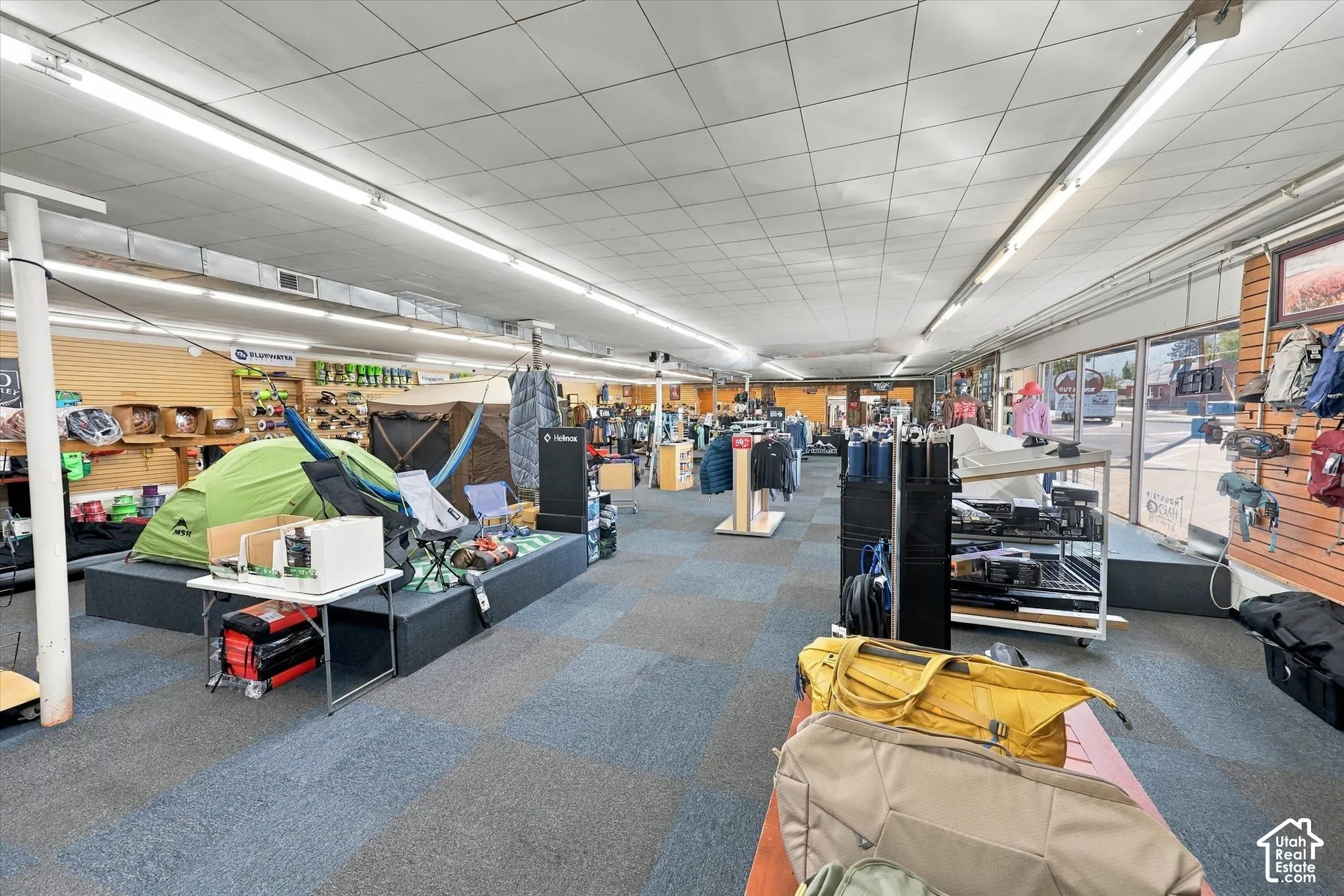 Open-concept interior featuring a suspended drop ceiling, integrated linear fluorescent lighting, expansive floor-to-ceiling glass storefront windows, multi-tone modular carpeting, and wall-mounted slatwall paneling