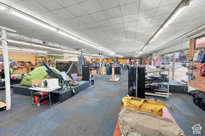 Open-concept interior featuring a suspended drop ceiling, integrated linear fluorescent lighting, expansive floor-to-ceiling glass storefront windows, multi-tone modular carpeting, and wall-mounted slatwall paneling
