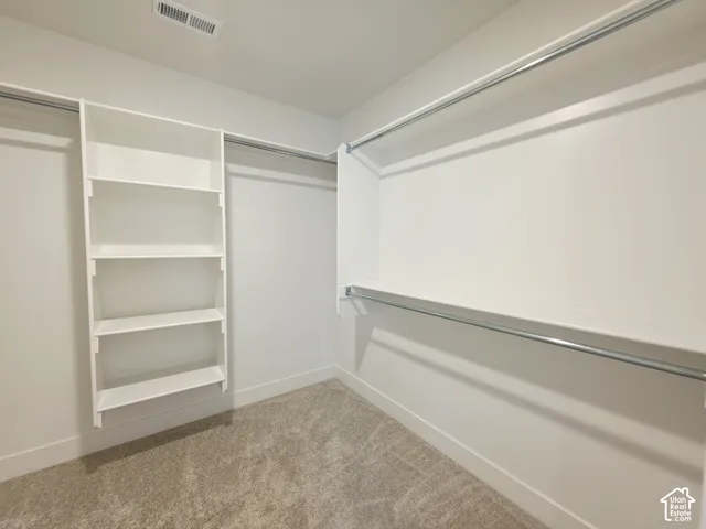Walk-in closet featuring white built-in shelving, dual-tier metal hanging rods, and neutral carpet flooring