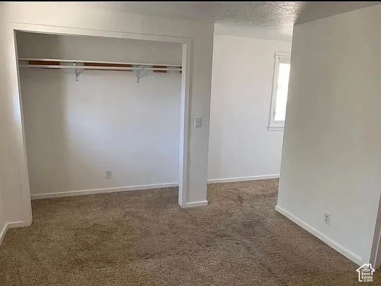 Neutral-toned wall-to-wall carpeting, recessed closet with built-in shelving, and white-painted walls