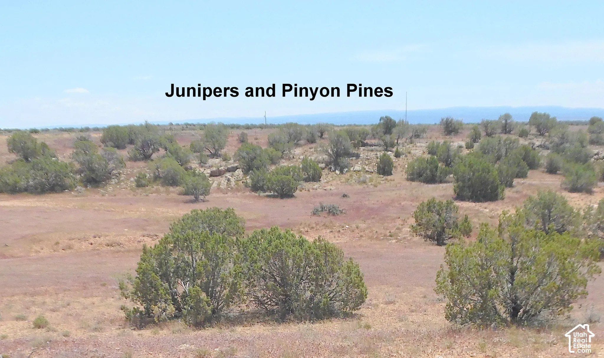 Expansive terrain featuring natural high-desert vegetation, native junipers, and pinyon pines