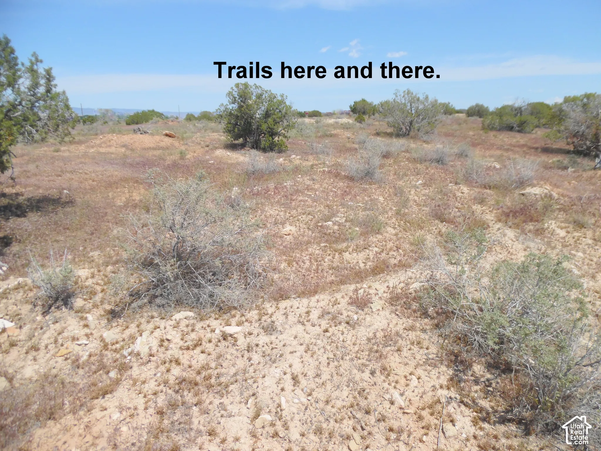 Expansive desert acreage featuring native shrubs, natural ground cover, and defined earthen paths