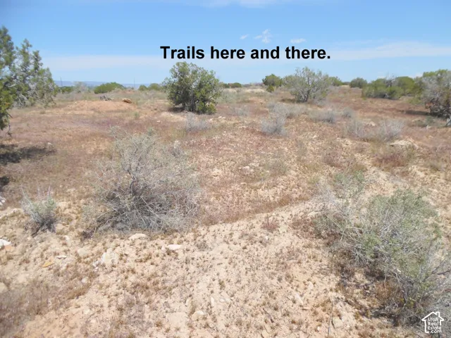 Expansive desert acreage featuring native shrubs, natural ground cover, and defined earthen paths