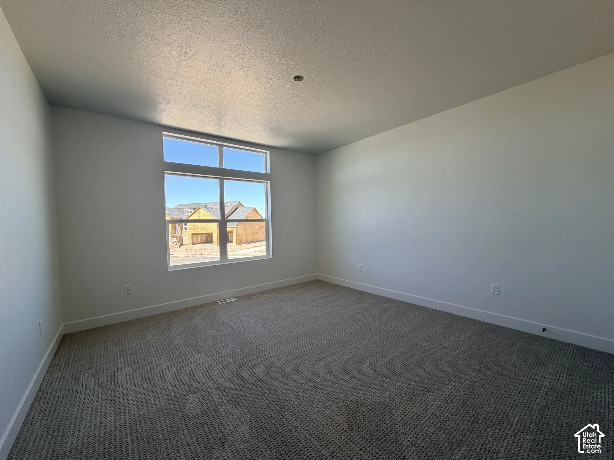 Neutral-toned interior space featuring textured carpeting, expansive windows with transom detailing, and smooth-finish walls