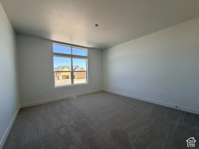 Neutral-toned interior space featuring textured carpeting, expansive windows with transom detailing, and smooth-finish walls