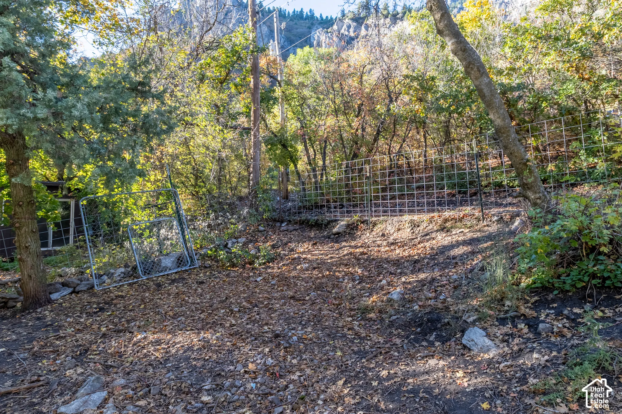 Natural landscape featuring mature trees, native vegetation, and a mountainous rock backdrop, enclosed by wire panel fencing