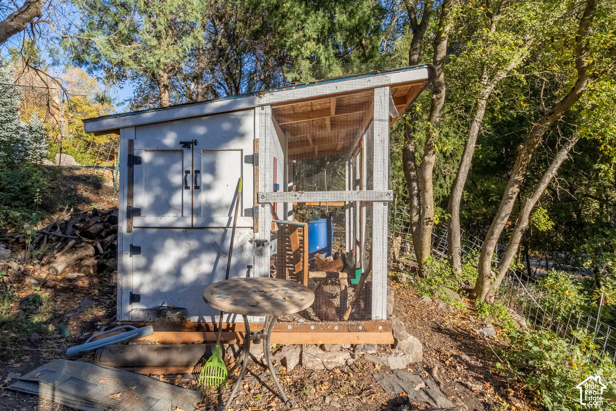 Outdoor enclosure featuring a wood-frame structure with metal mesh screening, a single-slope roof, and an enclosed nesting area