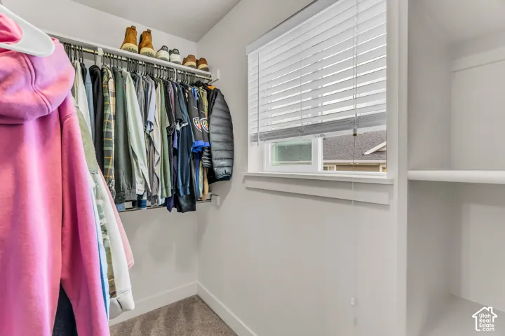 Storage closet featuring neutral carpeting, white interior walls, built-in shelving, a garment rod, and a window with horizontal blinds