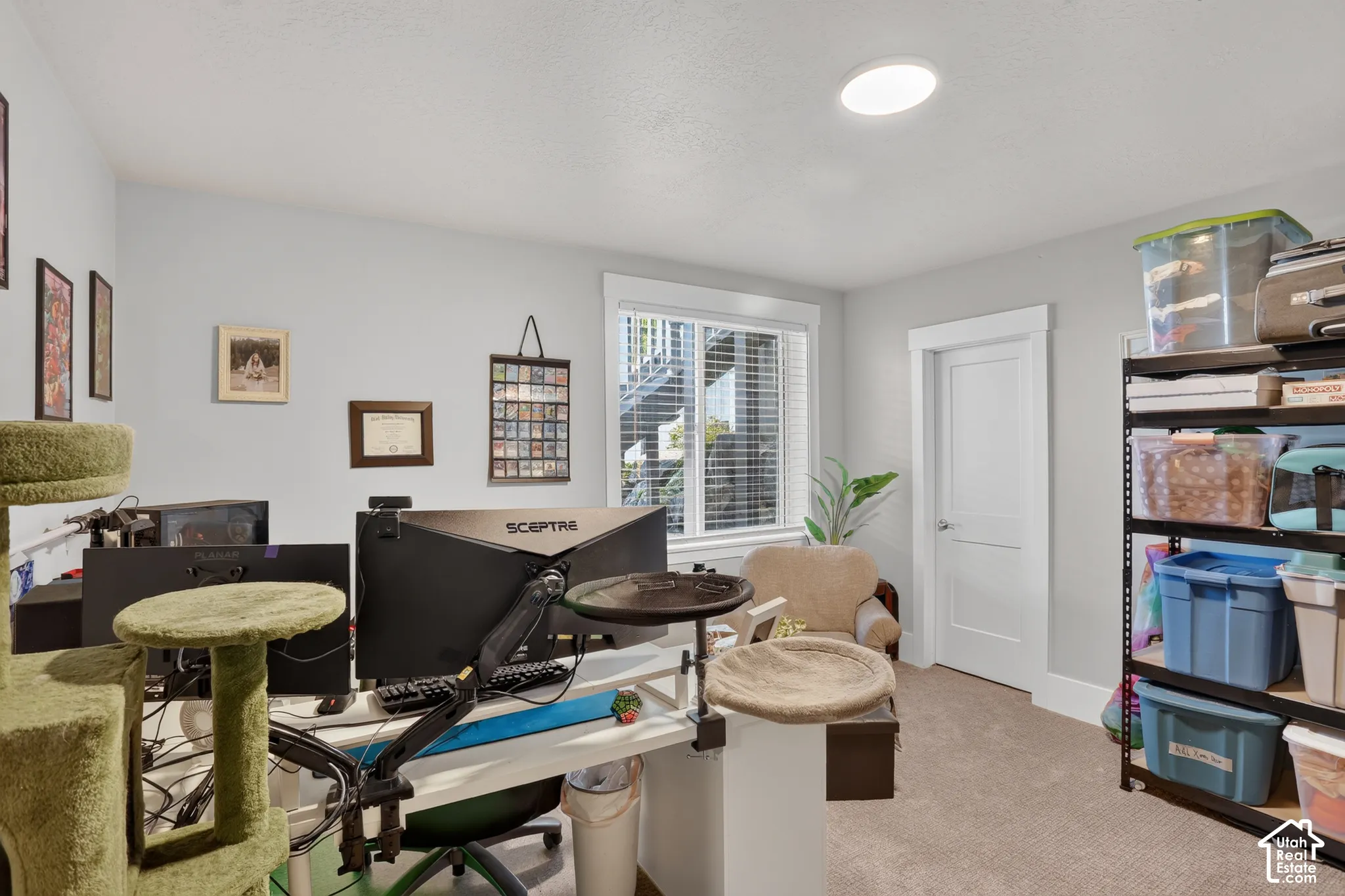 Neutral-toned interior room featuring wall-to-wall carpeting, a multi-pane window with white trim, and a classic-style solid-core interior door