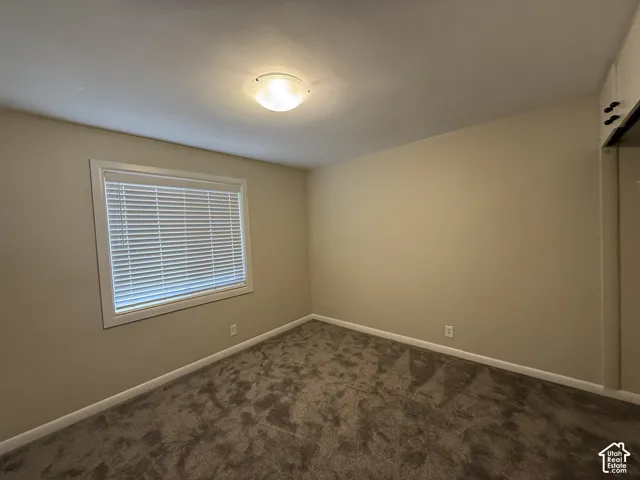 Neutral-toned interior room featuring wall-to-wall carpeting, a large window with fitted blinds, and a built-in closet with sliding doors