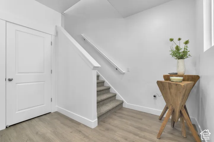 Staircase featuring carpeted treads, a white wall-mounted handrail, wood-finish flooring, and a two-panel interior door