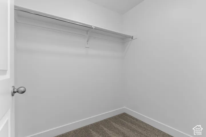 Walk-in closet featuring neutral carpeting and built-in shelving with an integrated metal hanging rod
