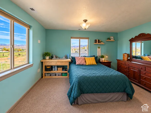 Room featuring neutral carpeting, dual windows with mountain scenery, and a ceiling-mounted light fixture