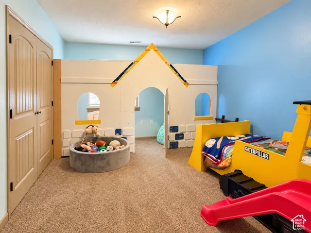 Room featuring neutral-toned carpeting, dual-paneled interior doors, and a built-in custom structural play partition