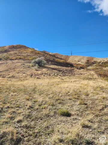 Expansive hillside terrain characterized by native grasses, indigenous shrubbery, and prominent ridgeline topography
