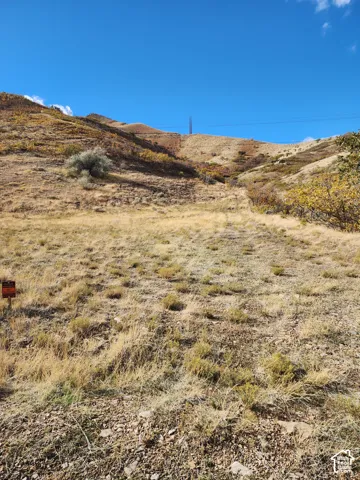 Expansive sloping lot featuring native grasses, mature shrubbery, and prominent hillside topography