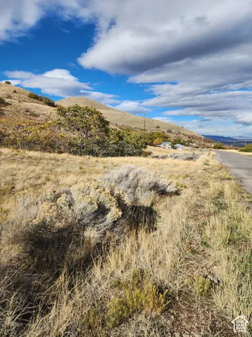Expansive acreage featuring native brush, mature trees, and mountainous topography with asphalt road access