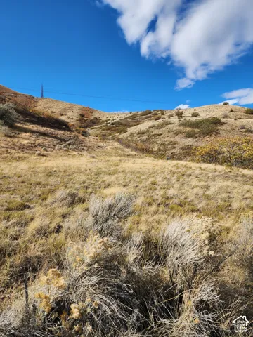 Expansive undeveloped acreage featuring native brush, natural grasses, and varied hillside topography