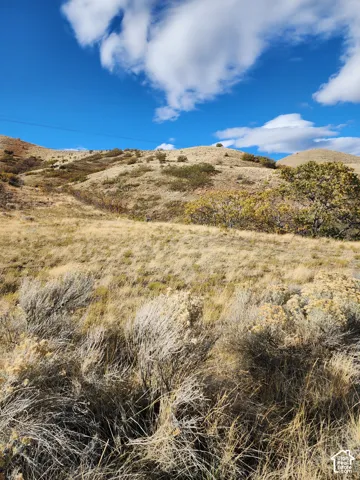 Expansive acreage featuring rolling hillside terrain, native grasses, and mature shrubs