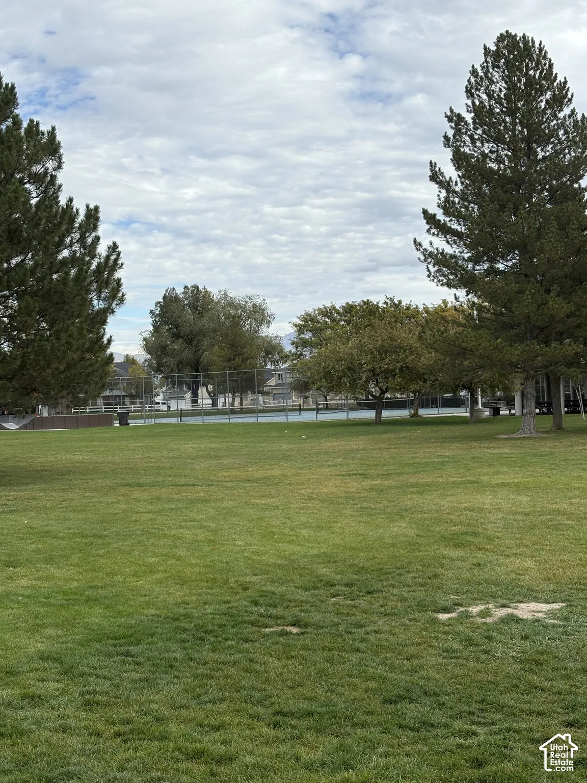 Expansive lawn area featuring mature pine and deciduous trees with a fenced tennis court
