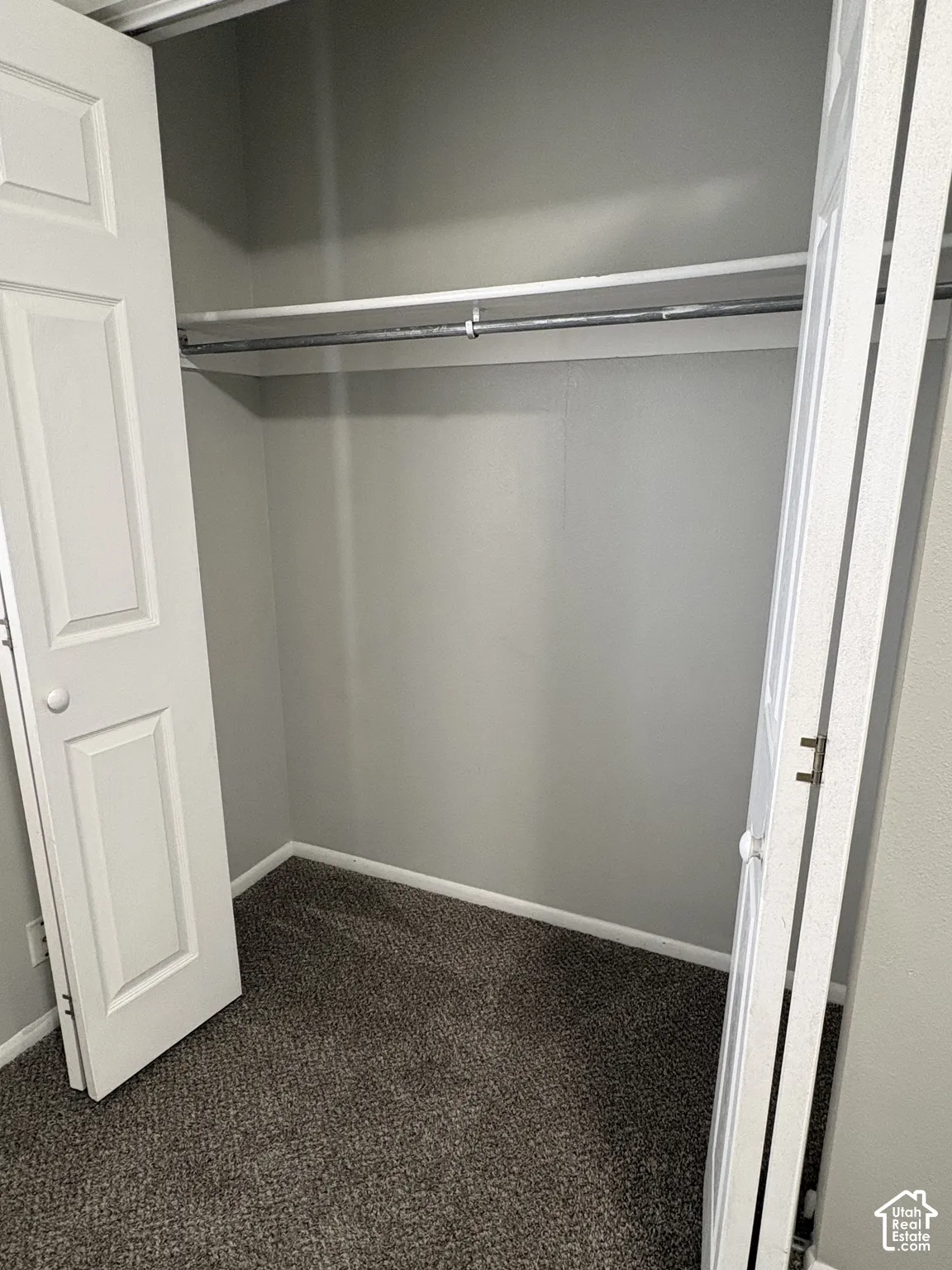Reach-in closet featuring dual-panel hinged doors, carpeted flooring, and a built-in metal hanging rod with overhead shelf