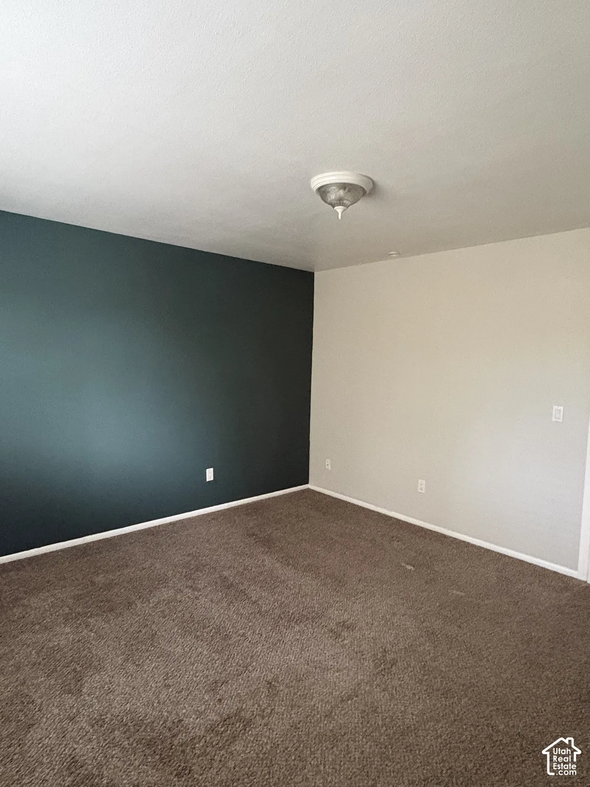 Room featuring high-contrast dark teal and neutral wall paint, neutral carpeting, and a central flush-mount ceiling light fixture