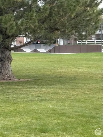 Expansive manicured lawn featuring a mature pine tree and a dedicated concrete skate ramp