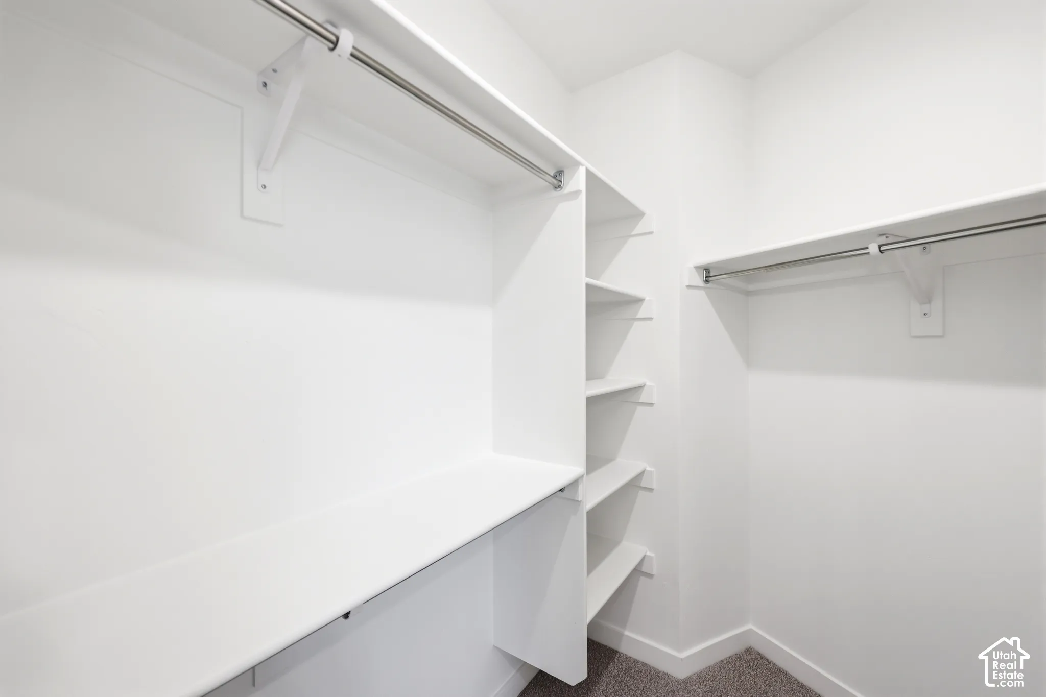 Walk-in closet featuring white built-in shelving, dual hanging rods, and neutral carpeting