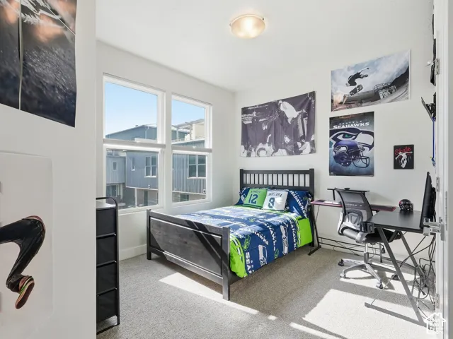 Neutral interior with wall-to-wall carpeting, flush-mount ceiling lighting, and dual-pane windows with grid detailing