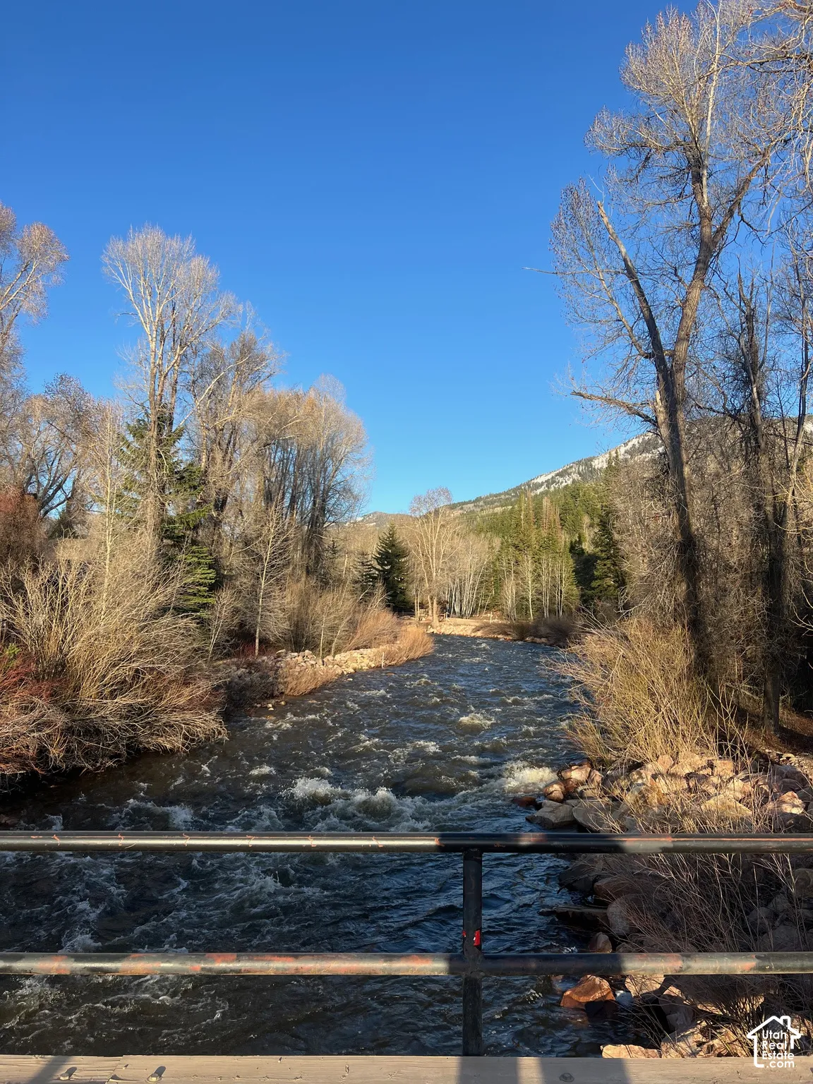 Waterfront property bordering a mountain-fed stream with a metal guardrail, rock-lined banks, and mature native trees