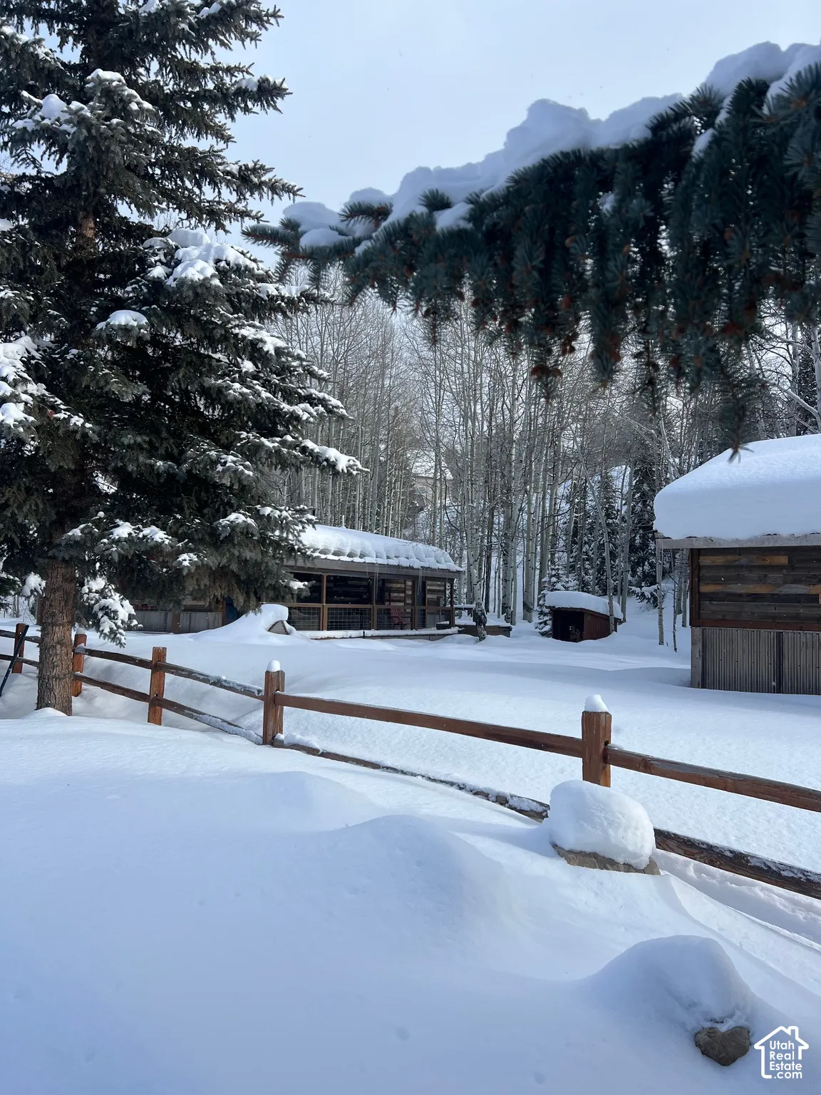 Exterior grounds featuring mature evergreen trees, a wooden rail fence, and a rustic log structure