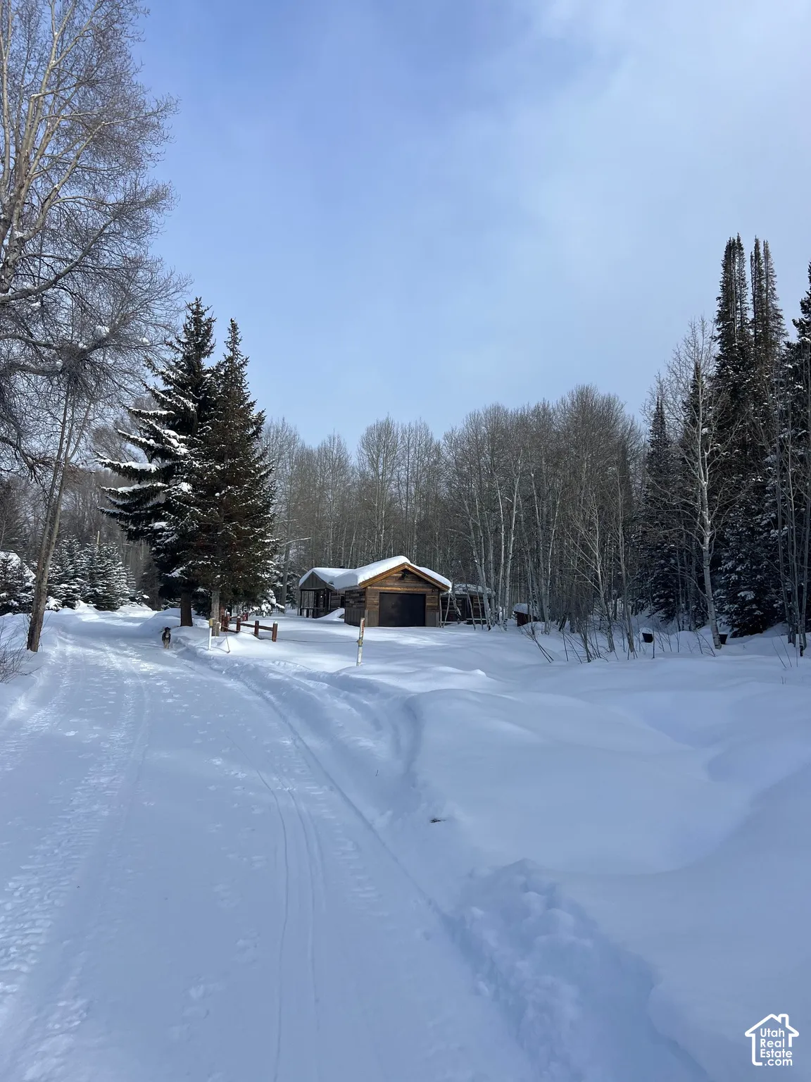 Wood-sided structure featuring a gabled roof, nestled within a grove of mature pine and aspen trees