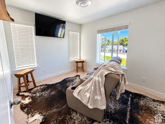 Neutral wall-to-wall carpeting, three windows with integrated blinds, and flush-mount ceiling lighting