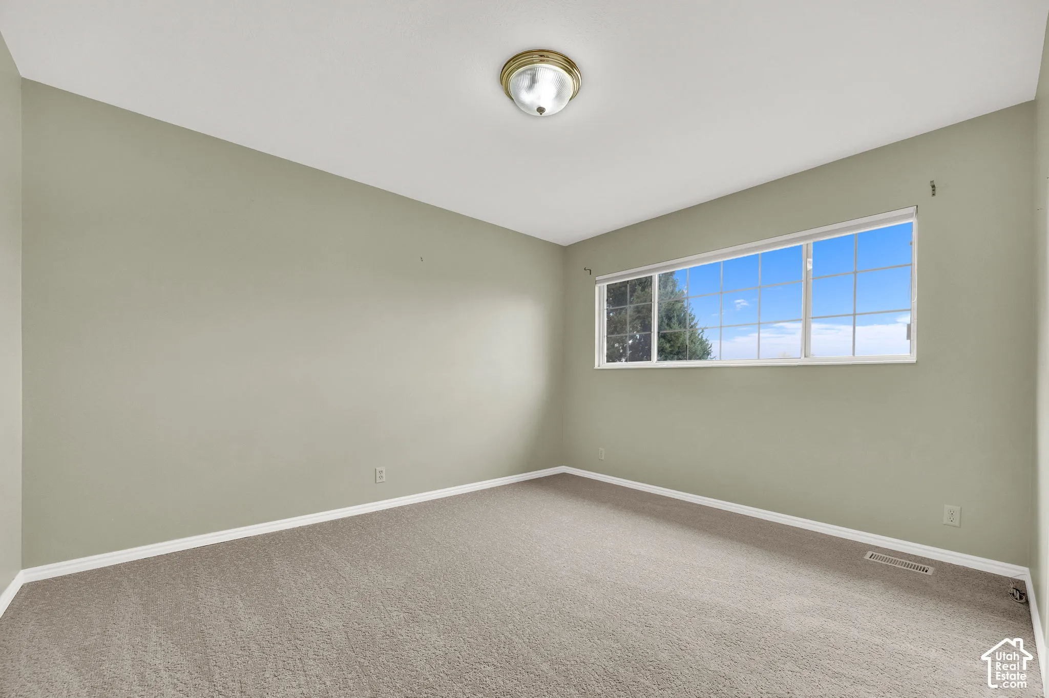 Neutral-toned room featuring neutral carpeting, a large sliding window with divided lites, and a central dome-style ceiling light fixture