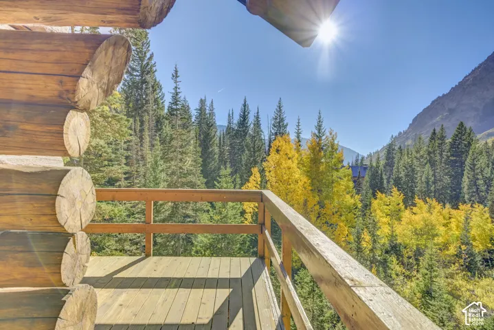 9870 E Perruvian Acre Rd, Alta, Utah 84092
