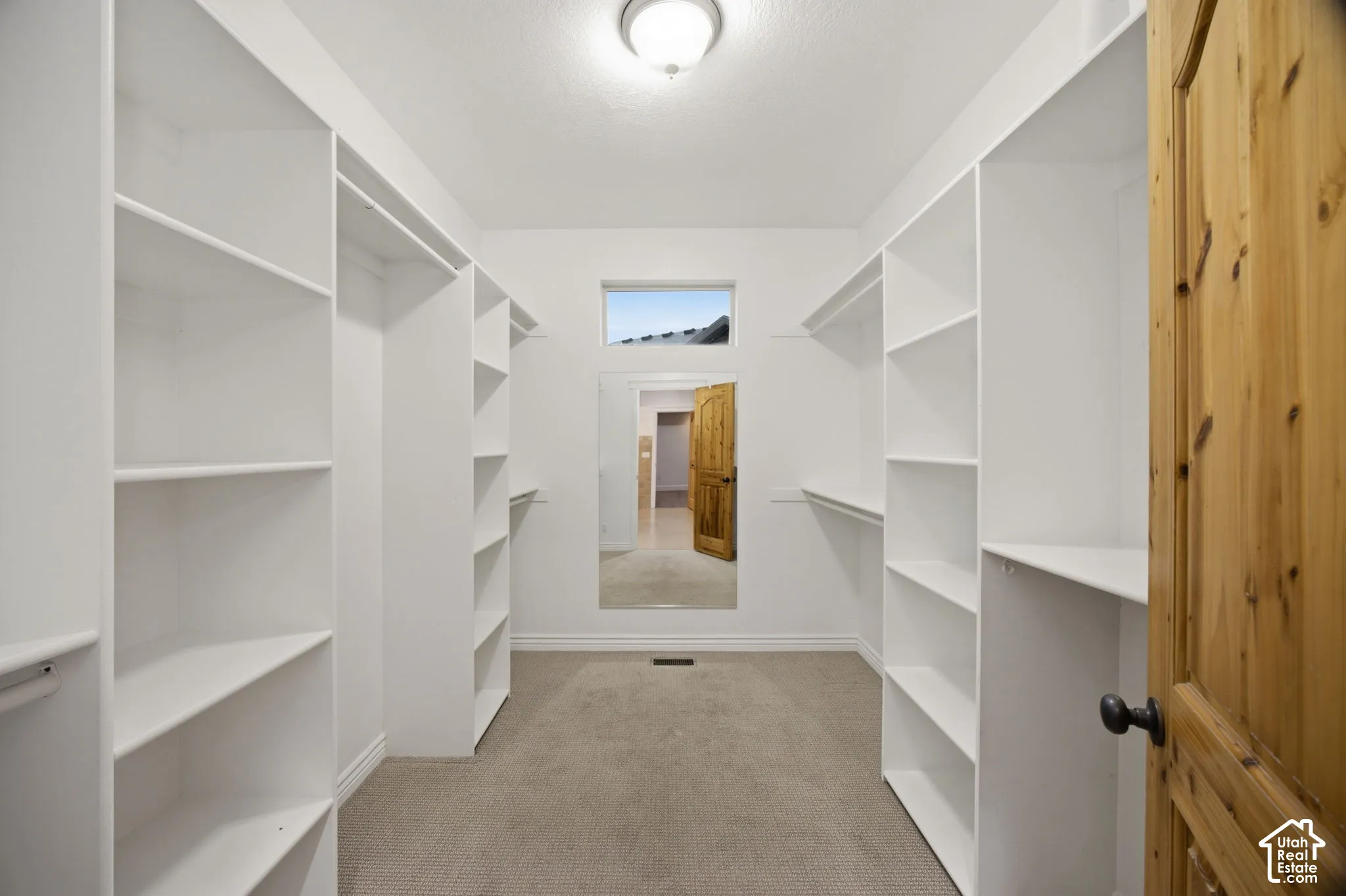 Walk-in closet featuring floor-to-ceiling white built-in shelving, carpeted flooring, a full-length wall-mounted mirror, and a transom window