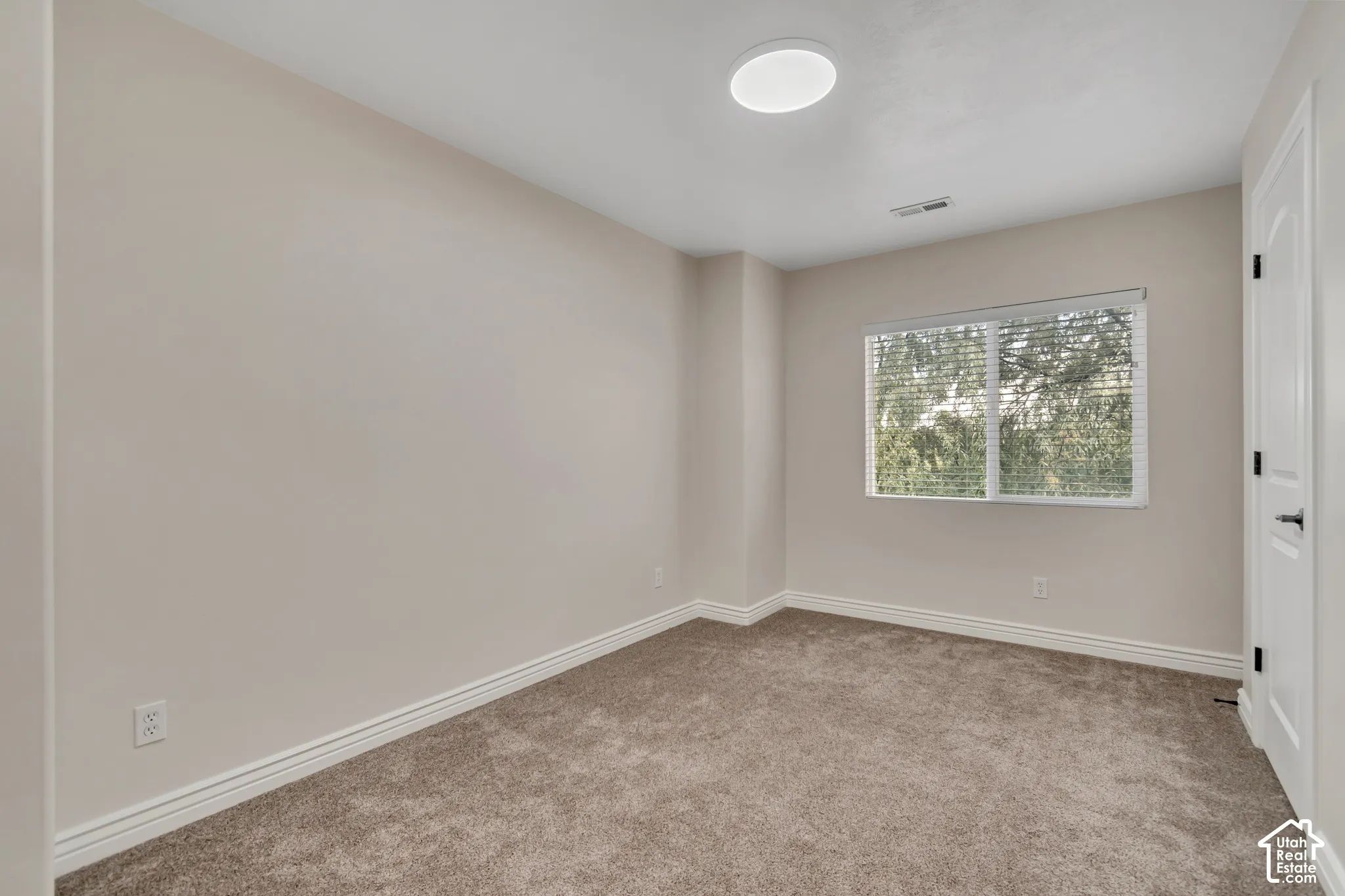 Neutral wall finishes, plush carpeting, ceiling-mounted light fixture, and horizontal blind window treatment