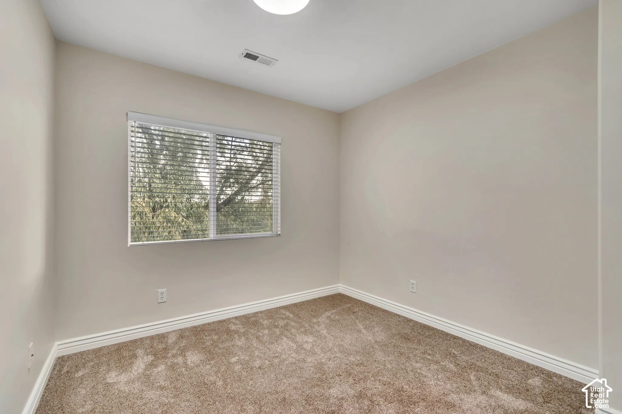 Neutral-toned interior space featuring plush carpeting, soft wall coloring, and a window fitted with horizontal blinds