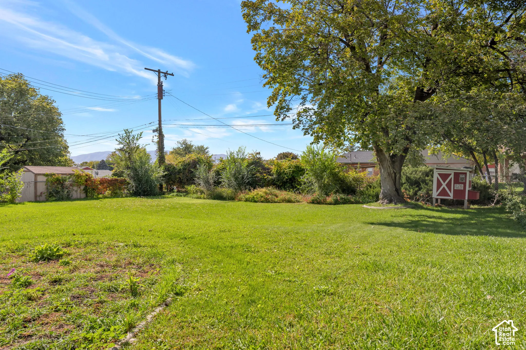 Expansive backyard featuring a grass lawn, mature trees, established shrubbery