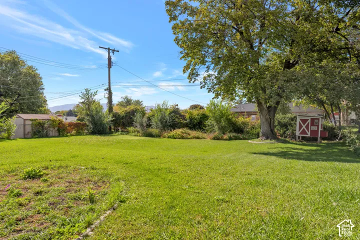 Expansive backyard featuring a grass lawn, mature trees, established shrubbery