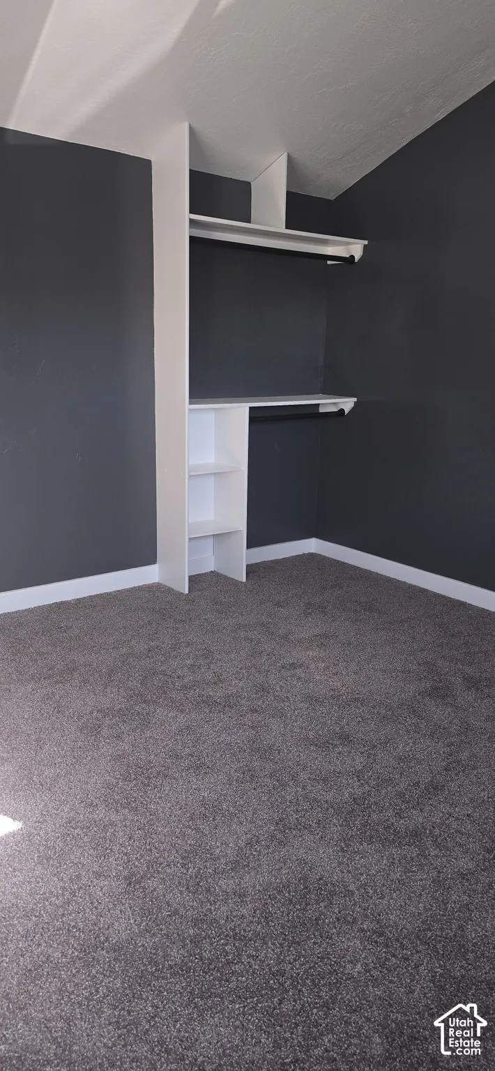 Built-in floor-to-ceiling shelving, integrated hanging rods, vaulted ceilings, and wall-to-wall carpeting