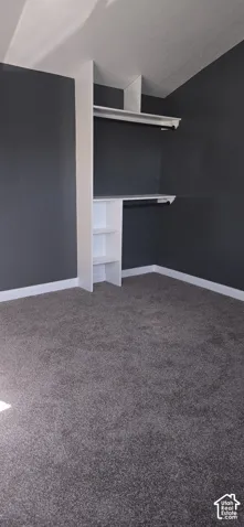 Built-in floor-to-ceiling shelving, integrated hanging rods, vaulted ceilings, and wall-to-wall carpeting