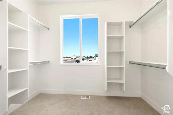 Walk-in closet featuring white built-in shelving, dual hanging rods, a single-pane window, and carpeted flooring