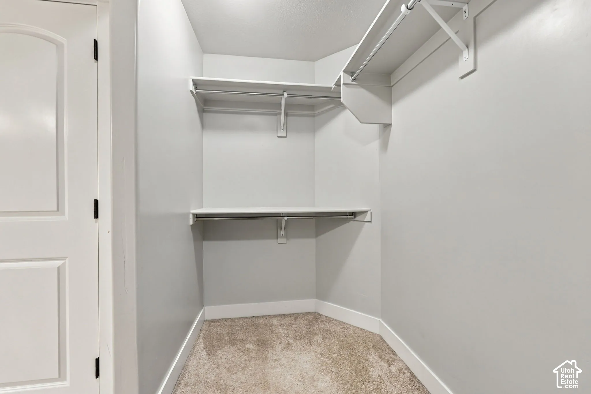 Storage space featuring wall-mounted shelving and integrated hanging rods, finished with carpeted flooring and a solid-core interior door