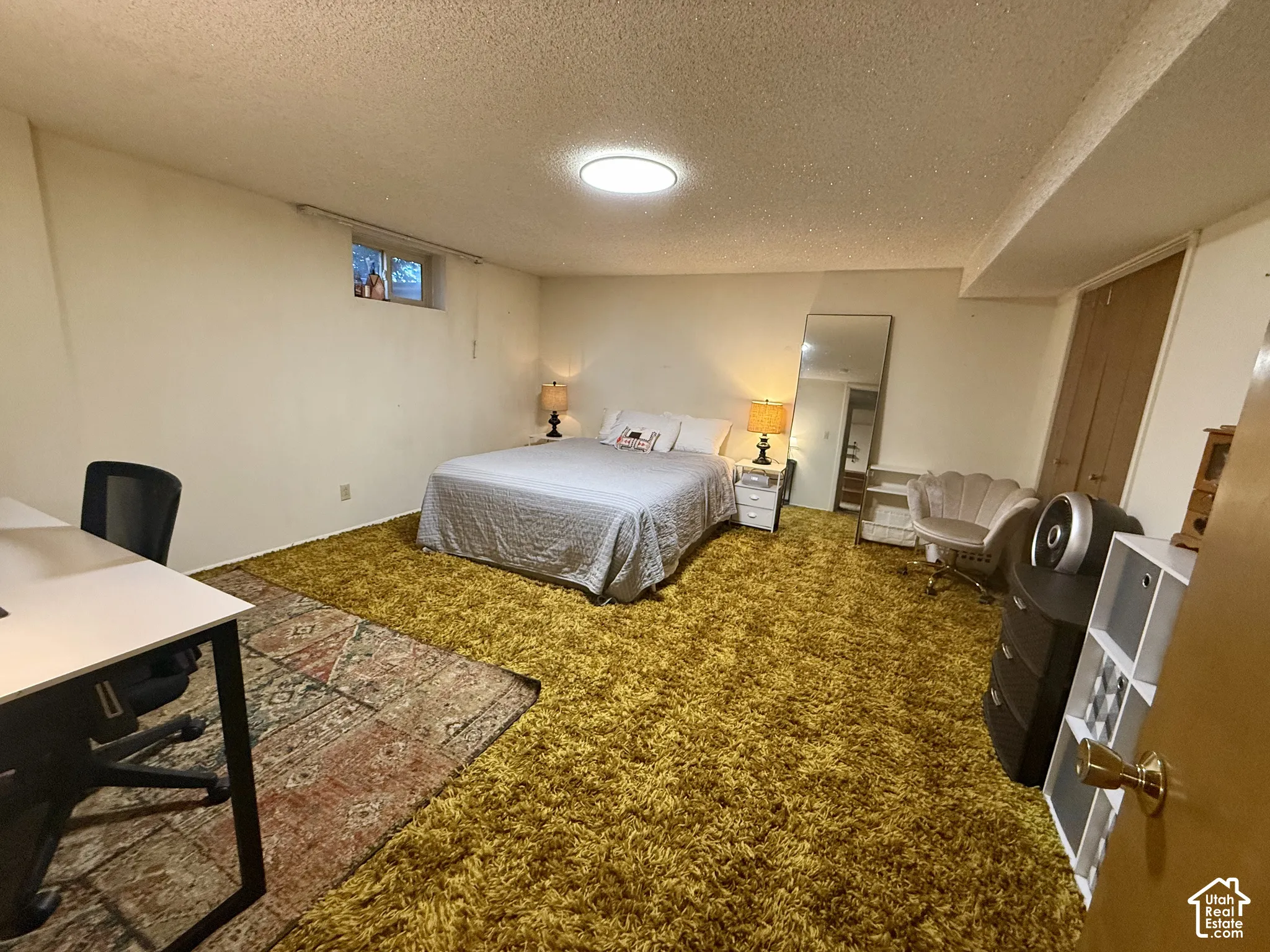 Textured wall-to-wall carpeting, flush-mount circular lighting, single sliding closet, and high-set window