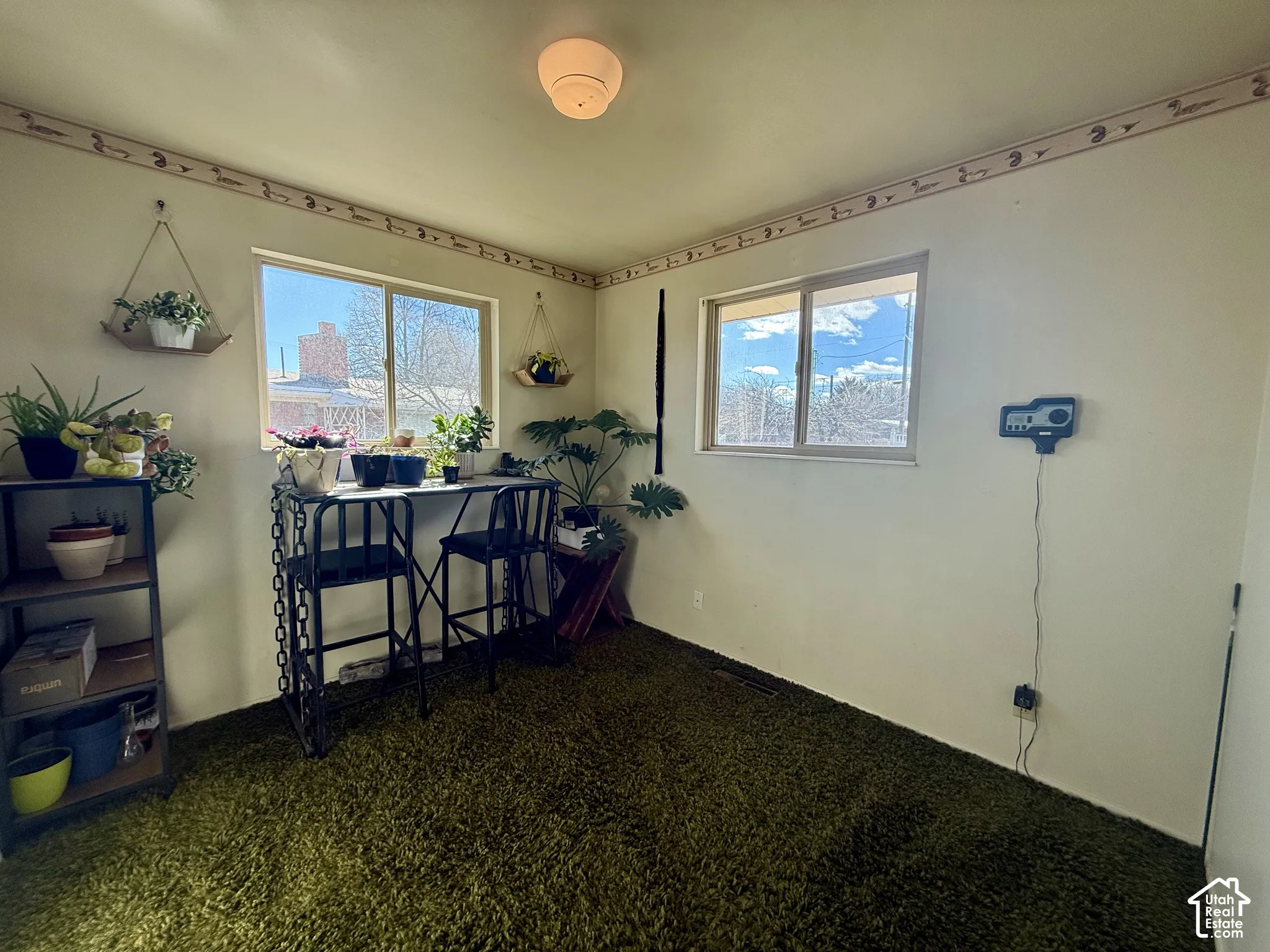 Room featuring wall-to-wall carpeting, two sliding windows, and a ceiling-mounted light fixture