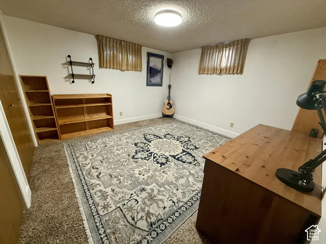 Interior room featuring neutral wall finishes, carpeted flooring and flush-mount ceiling lighting