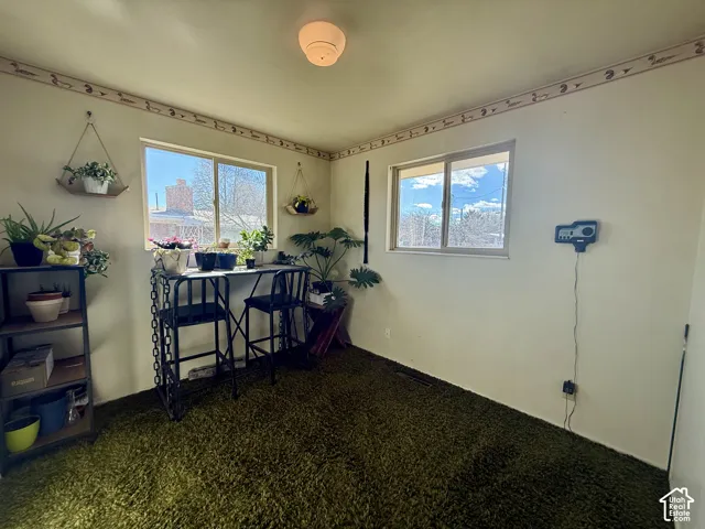 Room featuring wall-to-wall carpeting, two sliding windows, and a ceiling-mounted light fixture